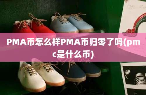 PMA币怎么样PMA币归零了吗(pmc是什么币)