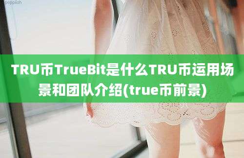 TRU币TrueBit是什么TRU币运用场景和团队介绍(true币前景)