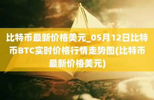 比特币最新价格美元_05月12日比特币BTC实时价格行情走势图(比特币最新价格美元)