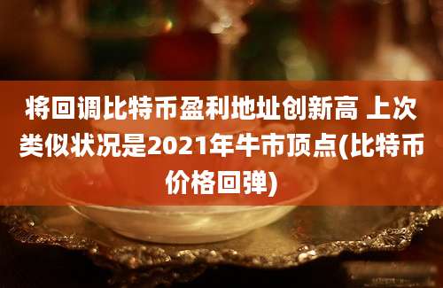 将回调比特币盈利地址创新高 上次类似状况是2021年牛市顶点(比特币价格回弹)