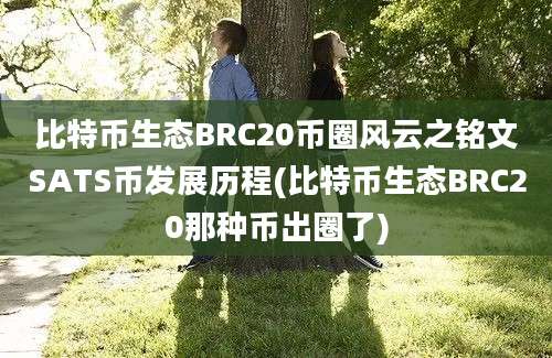 比特币生态BRC20币圈风云之铭文SATS币发展历程(比特币生态BRC20那种币出圈了)