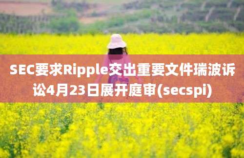 SEC要求Ripple交出重要文件瑞波诉讼4月23日展开庭审(secspi)