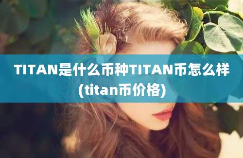 TITAN是什么币种TITAN币怎么样(titan币价格)