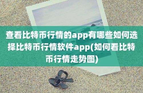 查看比特币行情的app有哪些如何选择比特币行情软件app(如何看比特币行情走势图)