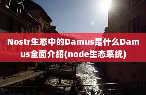 Nostr生态中的Damus是什么Damus全面介绍(node生态系统)