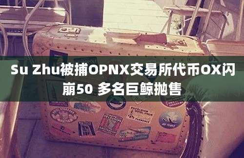 Su Zhu被捕OPNX交易所代币OX闪崩50 多名巨鲸抛售