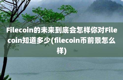 Filecoin的未来到底会怎样你对Filecoin知道多少(filecoin币前景怎么样)