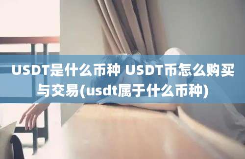 USDT是什么币种 USDT币怎么购买与交易(usdt属于什么币种)