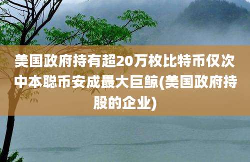 美国政府持有超20万枚比特币仅次中本聪币安成最大巨鲸(美国政府持股的企业)