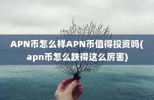 APN币怎么样APN币值得投资吗(apn币怎么跌得这么厉害)