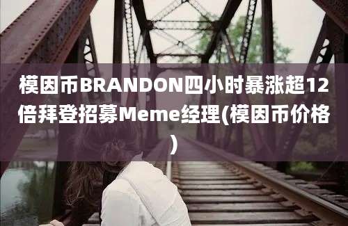 模因币BRANDON四小时暴涨超12倍拜登招募Meme经理(模因币价格)