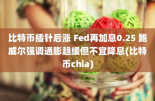 比特币插针后涨 Fed再加息0.25 鲍威尔强调通膨趋缓但不宜降息(比特币chia)