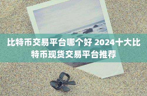 比特币交易平台哪个好 2024十大比特币现货交易平台推荐