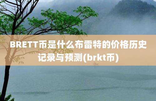 BRETT币是什么布雷特的价格历史记录与预测(brkt币)