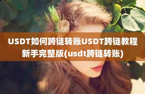 USDT如何跨链转账USDT跨链教程新手完整版(usdt跨链转账)