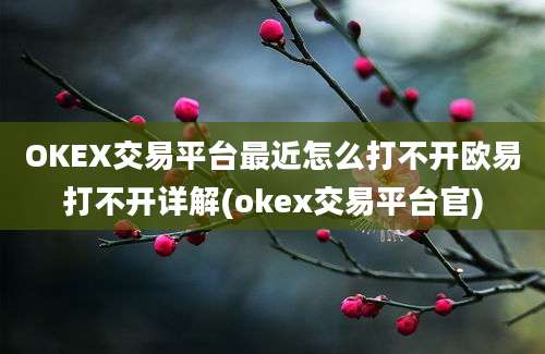 OKEX交易平台最近怎么打不开欧易打不开详解(okex交易平台官)