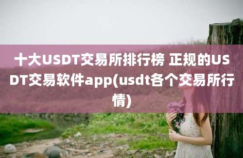 十大USDT交易所排行榜 正规的USDT交易软件app(usdt各个交易所行情)