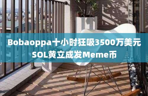 Bobaoppa十小时狂吸3500万美元SOL黄立成发Meme币