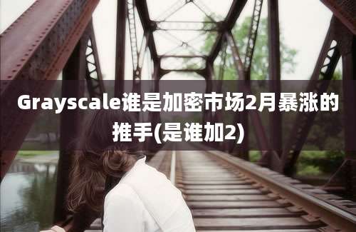 Grayscale谁是加密市场2月暴涨的推手(是谁加2)