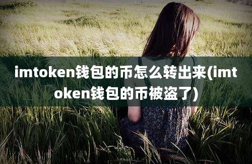 imtoken钱包的币怎么转出来(imtoken钱包的币被盗了)