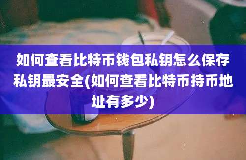 如何查看比特币钱包私钥怎么保存私钥最安全(如何查看比特币持币地址有多少)