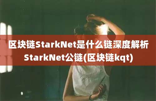 区块链StarkNet是什么链深度解析StarkNet公链(区块链kqt)