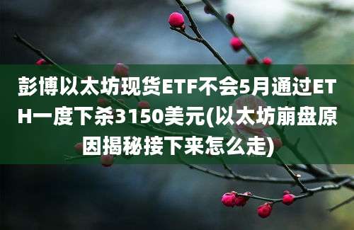 彭博以太坊现货ETF不会5月通过ETH一度下杀3150美元(以太坊崩盘原因揭秘接下来怎么走)