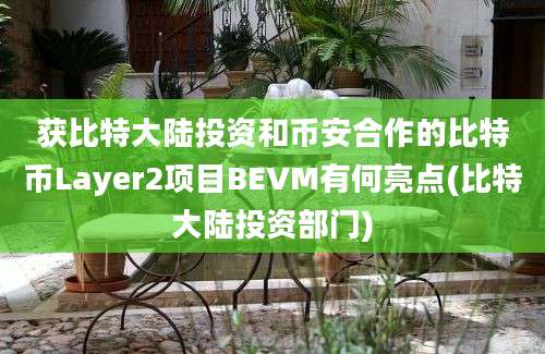 获比特大陆投资和币安合作的比特币Layer2项目BEVM有何亮点(比特大陆投资部门)