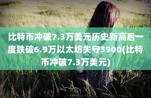 比特币冲破7.3万美元历史新高后一度跌破6.9万以太坊失守3900(比特币冲破7.3万美元)