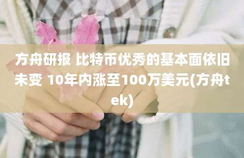 方舟研报 比特币优秀的基本面依旧未变 10年内涨至100万美元(方舟tek)