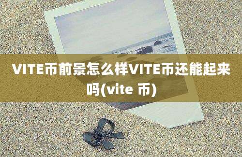 VITE币前景怎么样VITE币还能起来吗(vite 币)