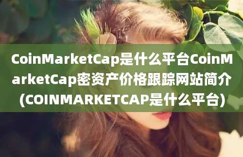 CoinMarketCap是什么平台CoinMarketCap密资产价格跟踪网站简介(COINMARKETCAP是什么平台)