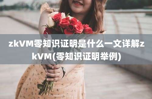 zkVM零知识证明是什么一文详解zkVM(零知识证明举例)