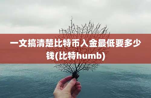 一文搞清楚比特币入金最低要多少钱(比特humb)