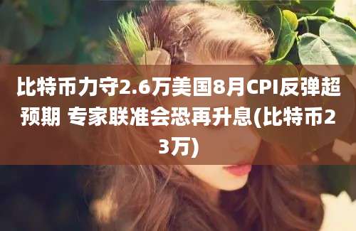 比特币力守2.6万美国8月CPI反弹超预期 专家联准会恐再升息(比特币23万)