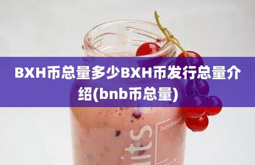 BXH币总量多少BXH币发行总量介绍(bnb币总量)