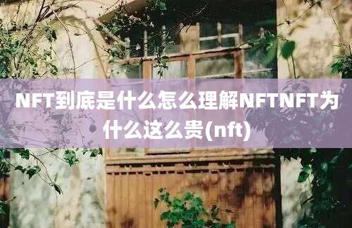 NFT到底是什么怎么理解NFTNFT为什么这么贵(nft)