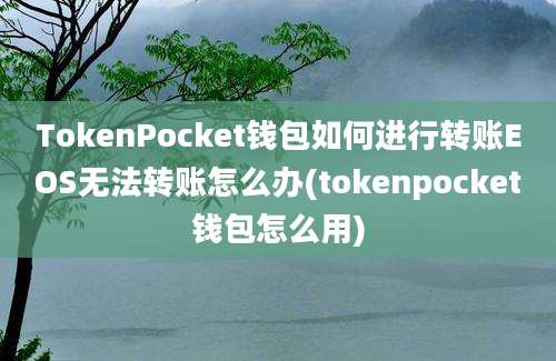 TokenPocket钱包如何进行转账EOS无法转账怎么办(tokenpocket钱包怎么用)