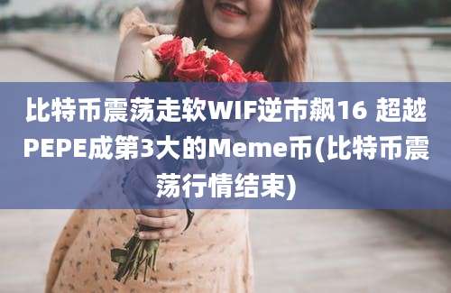 比特币震荡走软WIF逆市飙16 超越PEPE成第3大的Meme币(比特币震荡行情结束)