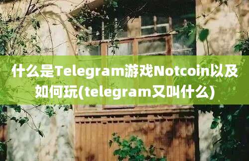 什么是Telegram游戏Notcoin以及如何玩(telegram又叫什么)