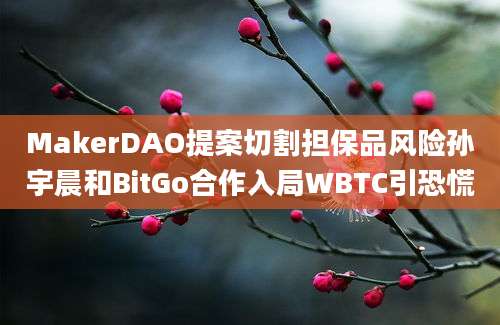 MakerDAO提案切割担保品风险孙宇晨和BitGo合作入局WBTC引恐慌