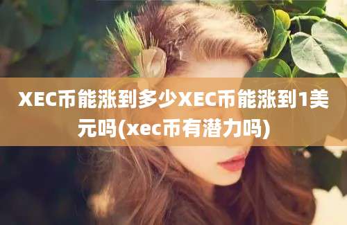 XEC币能涨到多少XEC币能涨到1美元吗(xec币有潜力吗)