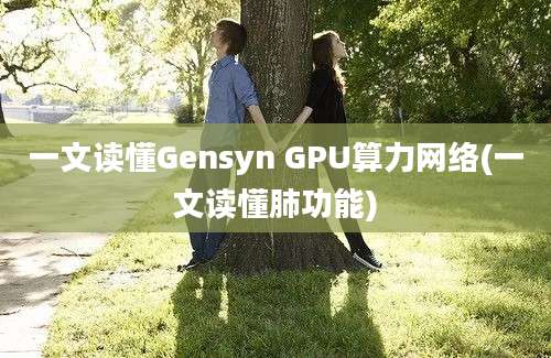 一文读懂Gensyn GPU算力网络(一文读懂肺功能)