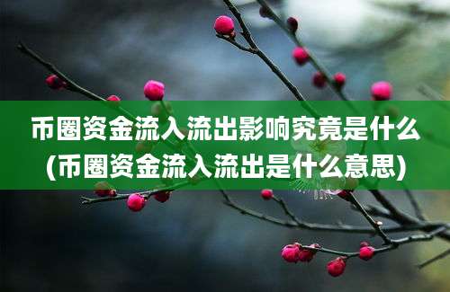 币圈资金流入流出影响究竟是什么(币圈资金流入流出是什么意思)