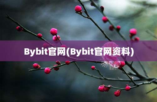 Bybit官网(Bybit官网资料)