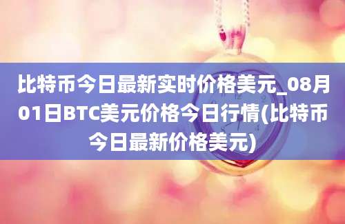 比特币今日最新实时价格美元_08月01日BTC美元价格今日行情(比特币今日最新价格美元)