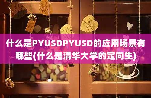 什么是PYUSDPYUSD的应用场景有哪些(什么是清华大学的定向生)