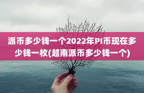 派币多少钱一个2022年PI币现在多少钱一枚(越南派币多少钱一个)