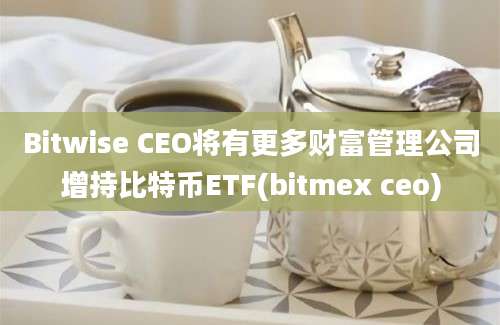 Bitwise CEO将有更多财富管理公司增持比特币ETF(bitmex ceo)