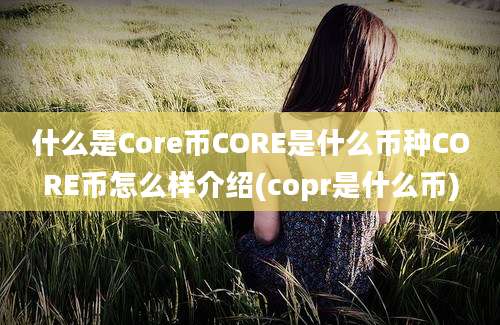 什么是Core币CORE是什么币种CORE币怎么样介绍(copr是什么币)